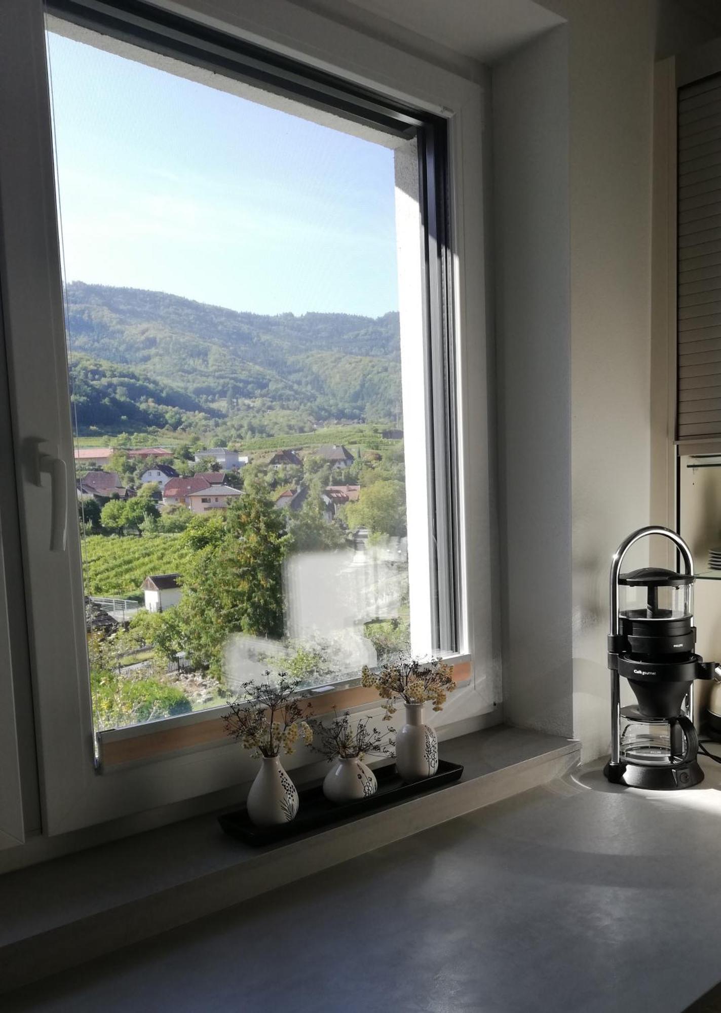 Ferienhaus Johanna Spitz an der Donau Buitenkant foto